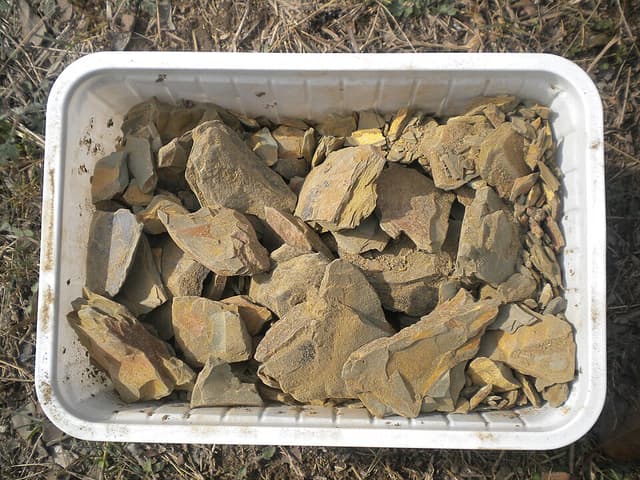 Terre à foulon (Multani Mitti) - plante utilisée en cosmétique naturel