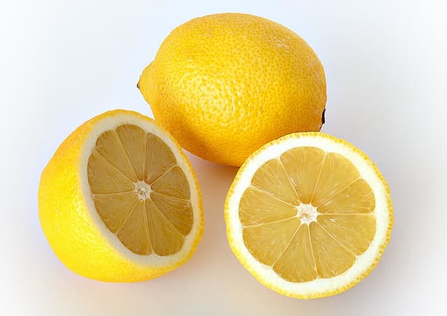 Citron (Citrus Limon Fruit) — plante utilisée en cosmétique naturel