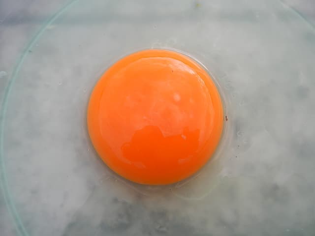 Jaune d’œuf (Egg Yolk) — plante utilisée en cosmétique naturel
