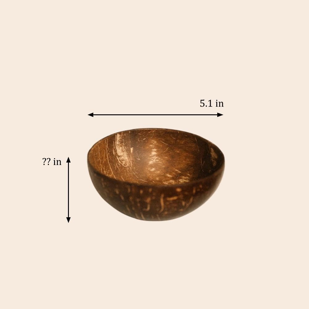 Bol en noix de coco 05