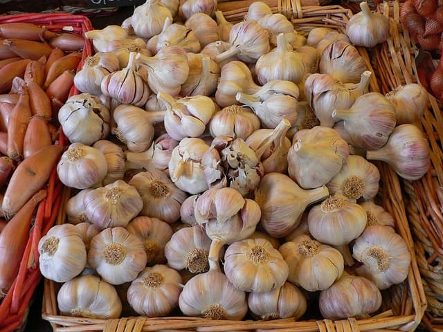 Ail (Allium Sativum Bulb) — plante utilisée en cosmétique naturel