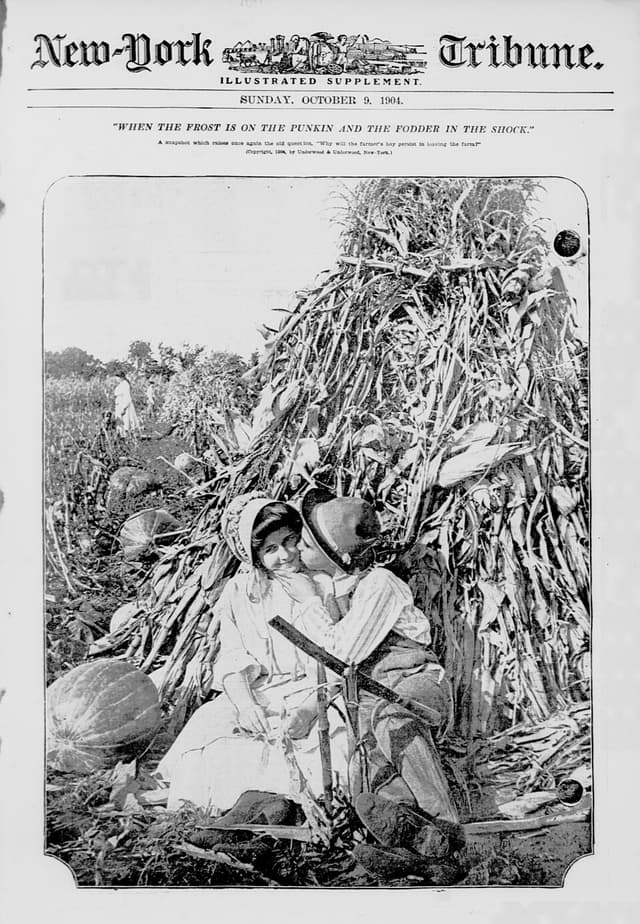 Amidon de maïs (Zea Mays Starch) — plante utilisée en cosmétique naturel