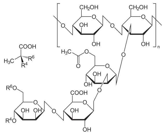 Gomme xanthane (Xanthan Gum) — plante utilisée en cosmétique naturel